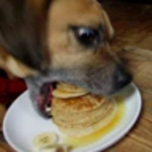 Meet your Posher, George